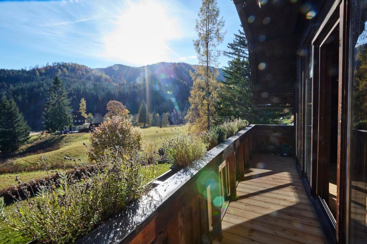 Frein Chalets - Wildalm Frein an der Murz Luaran gambar