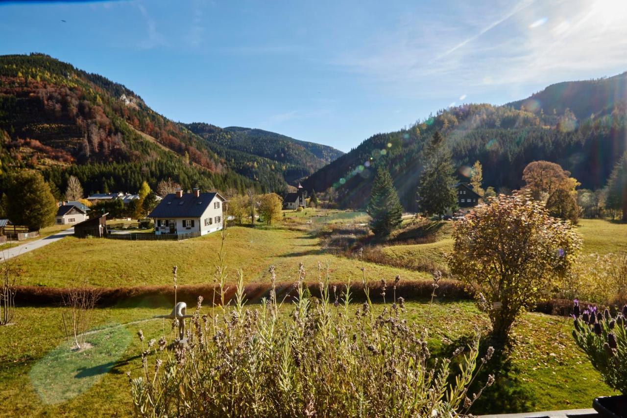 Frein Chalets - Wildalm Frein an der Murz Luaran gambar