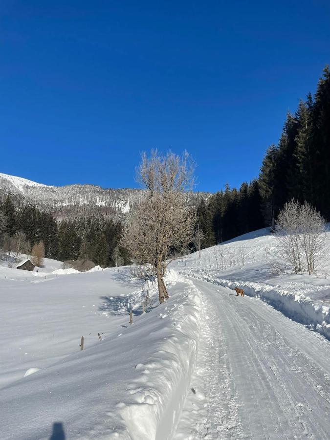 Frein Chalets - Wildalm Frein an der Murz Luaran gambar