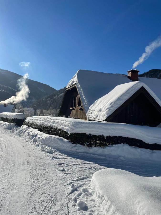 Frein Chalets - Wildalm Frein an der Murz Luaran gambar