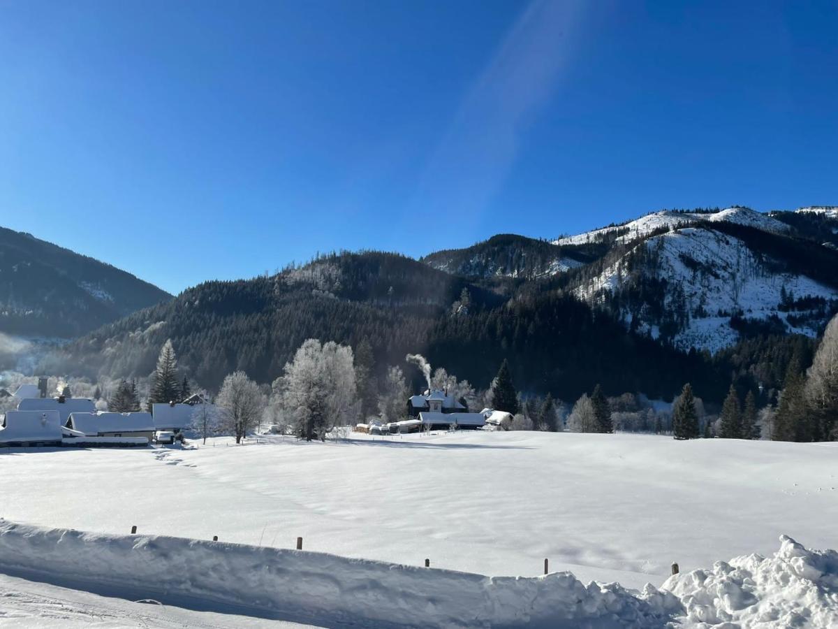 Frein Chalets - Wildalm Frein an der Murz Luaran gambar