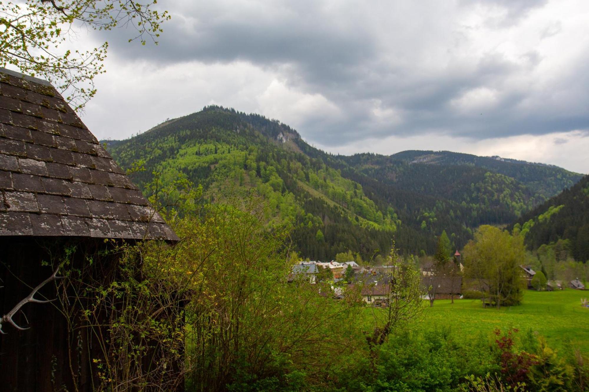 Frein Chalets - Wildalm Frein an der Murz Luaran gambar