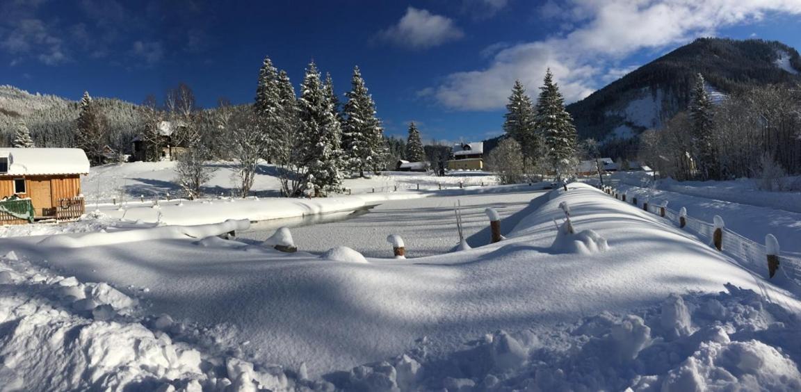 Frein Chalets - Wildalm Frein an der Murz Luaran gambar